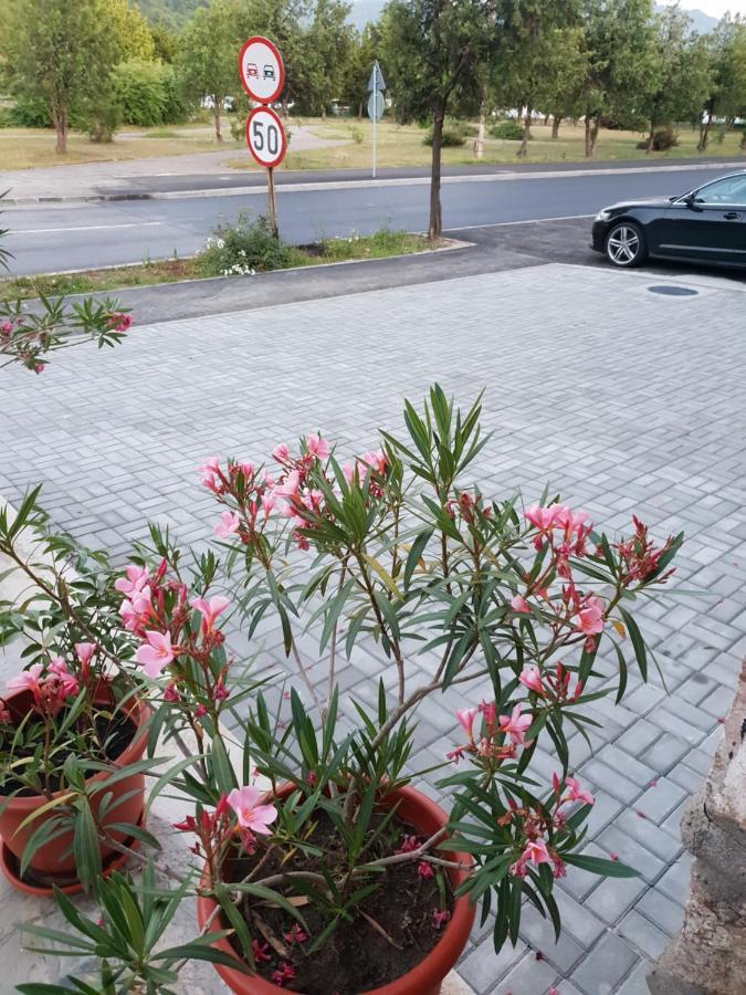 فيلا Orşovaفي Pretty Garden المظهر الخارجي الصورة